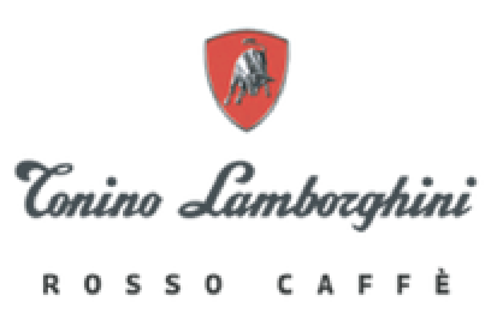 Partner Brand 6
